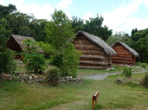 2 bungalows dans les avocatiers et cocotiers