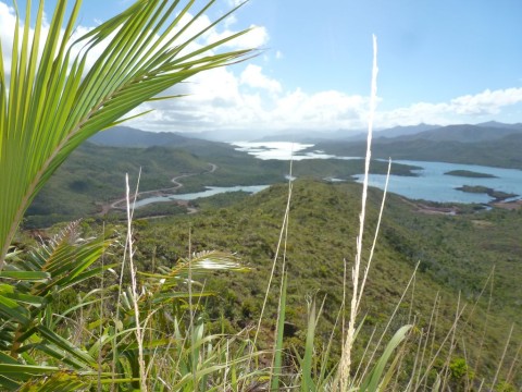 Massif minier dans le sud; de grands parcs pour le repeuplement.