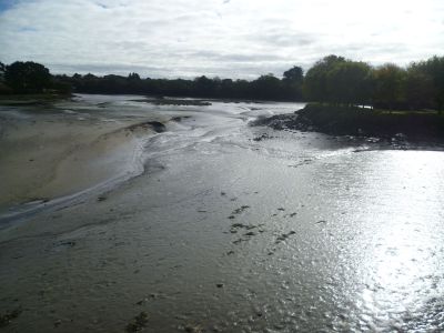 Marée basse dans l'Aber